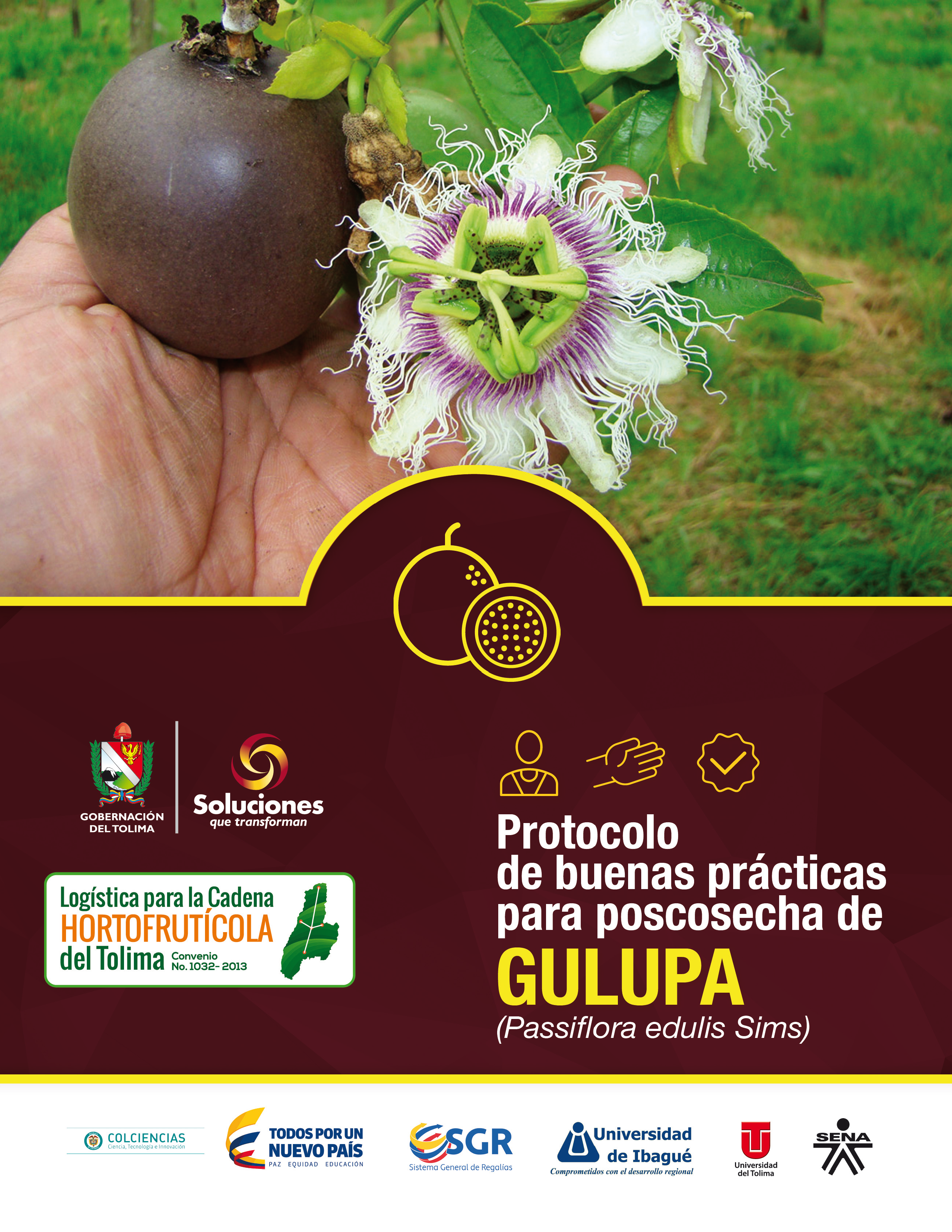 Cover of Protocolo de buenas prácticas para poscosecha de gulupa